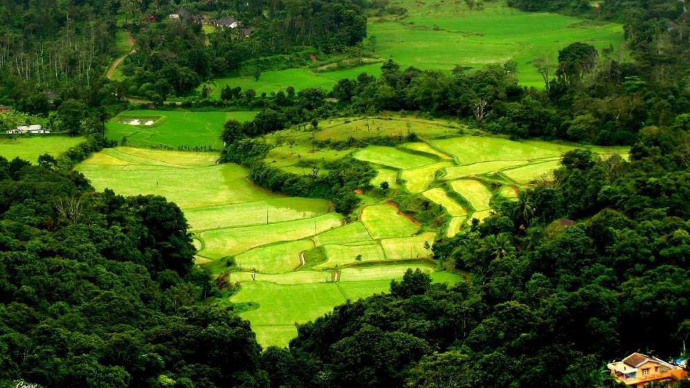 Visit Coorg at least once in your life. It is worth it.