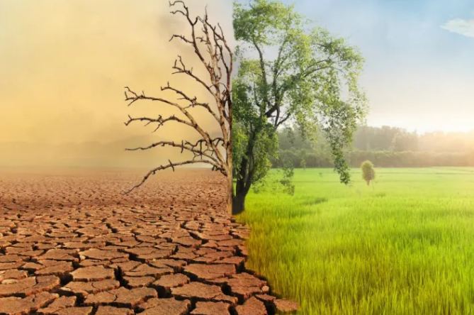 Climate Change Report